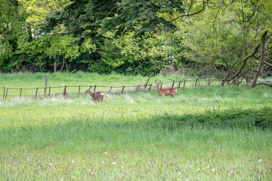 Home Farm Boreham 워민스터 외부 사진