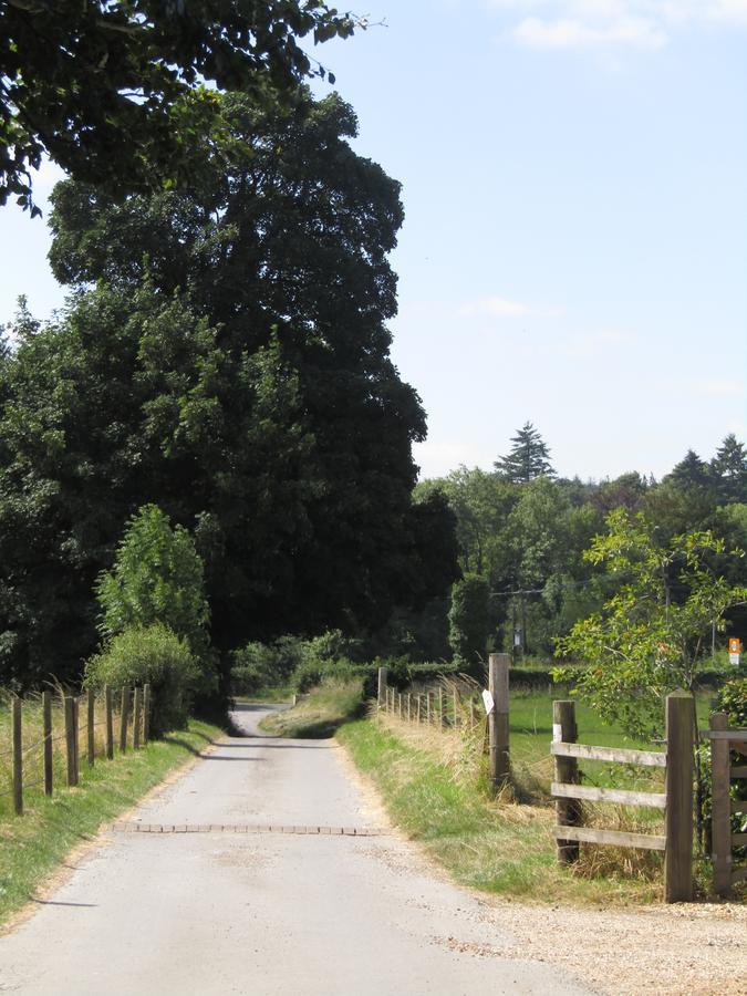 Home Farm Boreham 워민스터 외부 사진