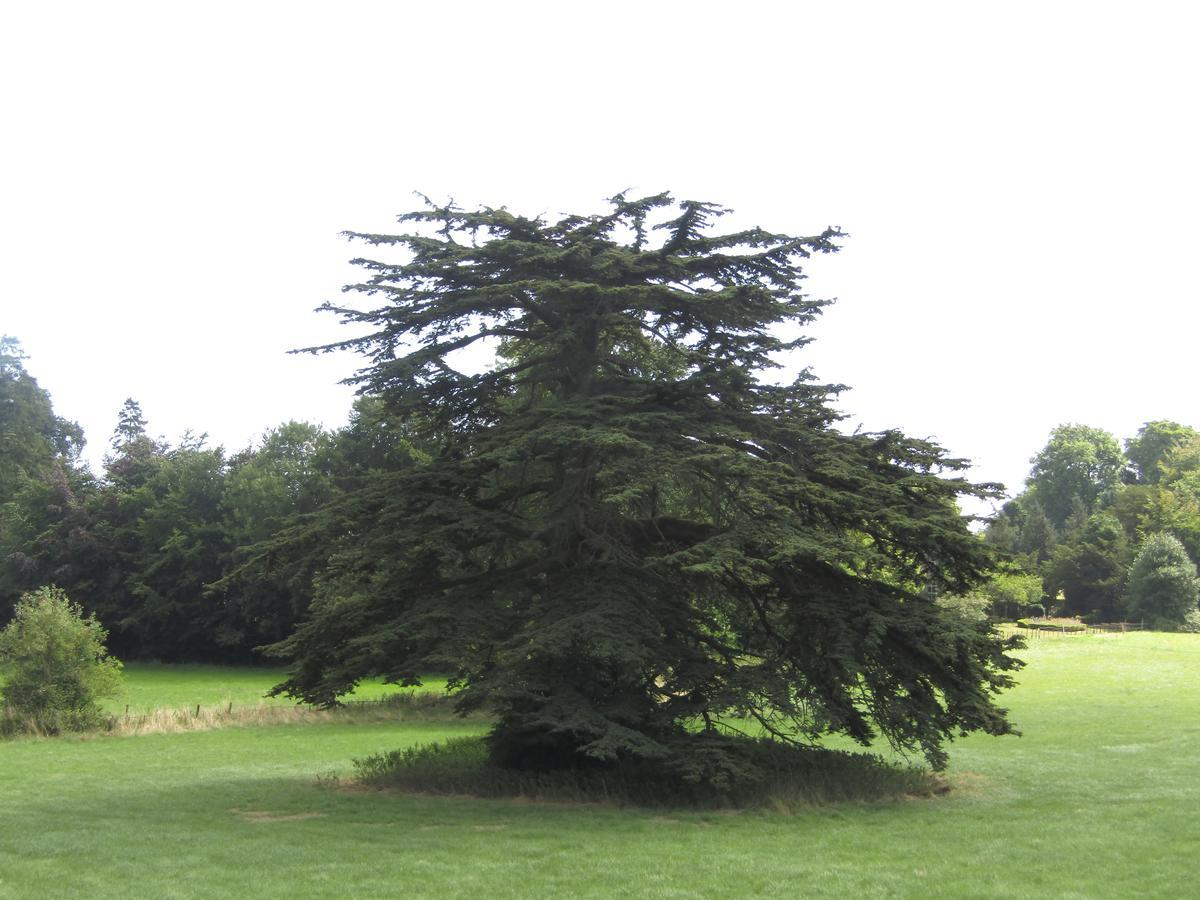 Home Farm Boreham 워민스터 외부 사진