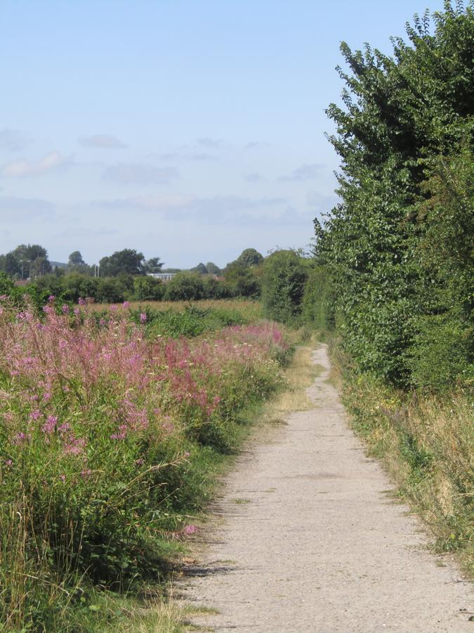 Home Farm Boreham 워민스터 외부 사진